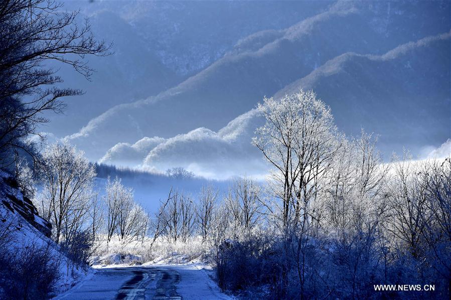 Snow scenery of Dajiuhu National Wetland Park in Hubei