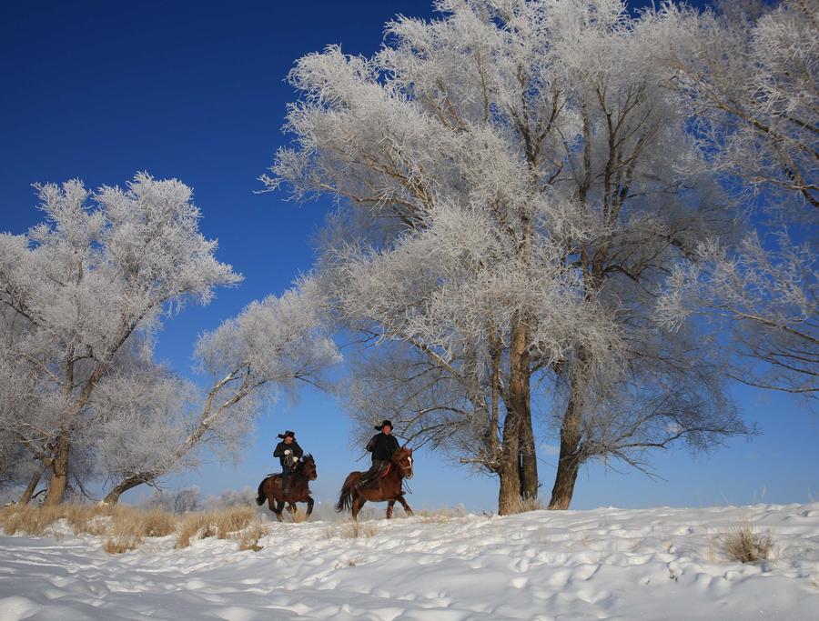 Rime scenery seen in Xinjiang's Altay