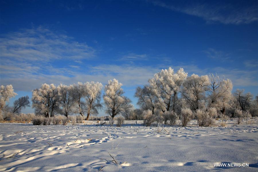 Rime scenery seen in Xinjiang's Altay