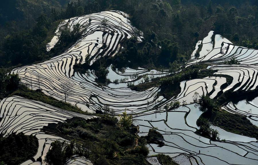 Hani terraces present unique winter scenery