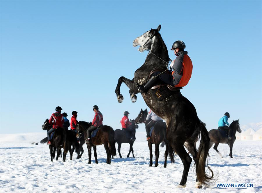 Zhaosu county: 'Hometown of Pegasus' in Northwest China's Xinjiang