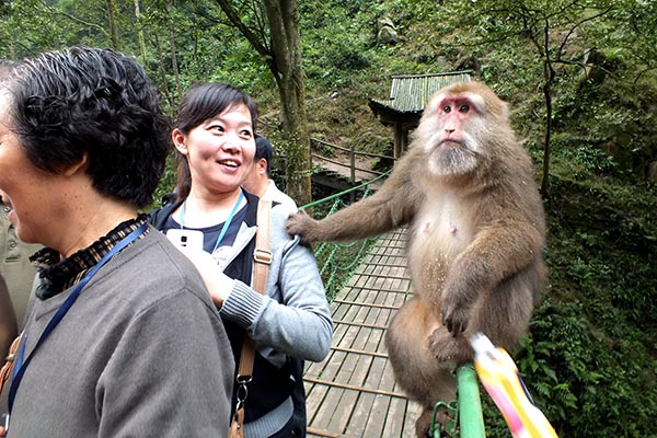 Monkey see, humans do