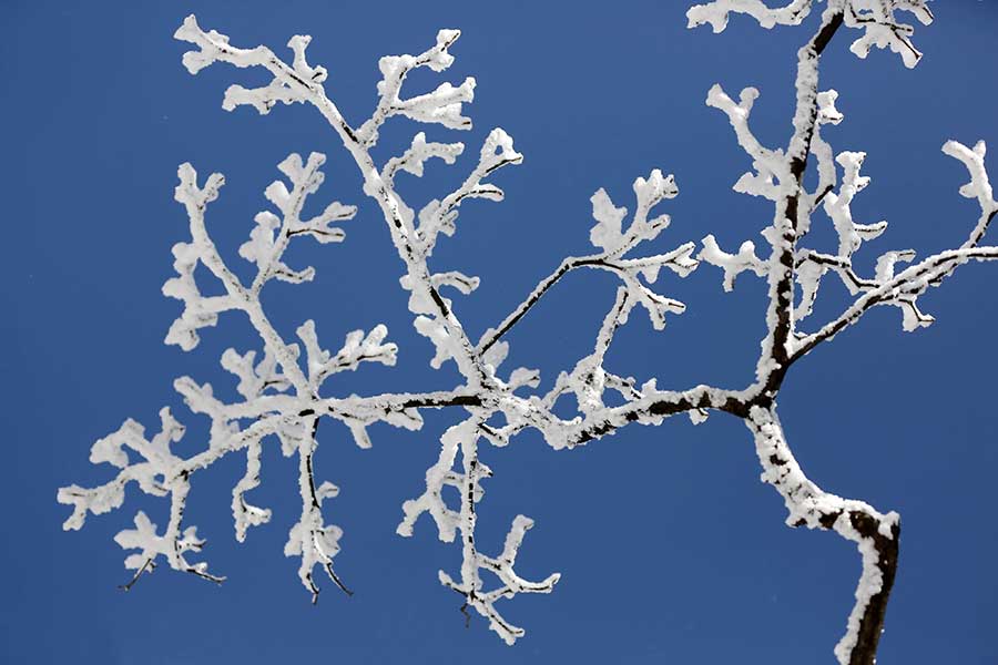 Extreme cold brings unique wintry scene to Mount Huangshan