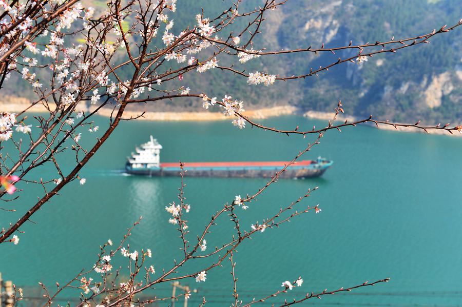Spring comes to the Three Gorges area
