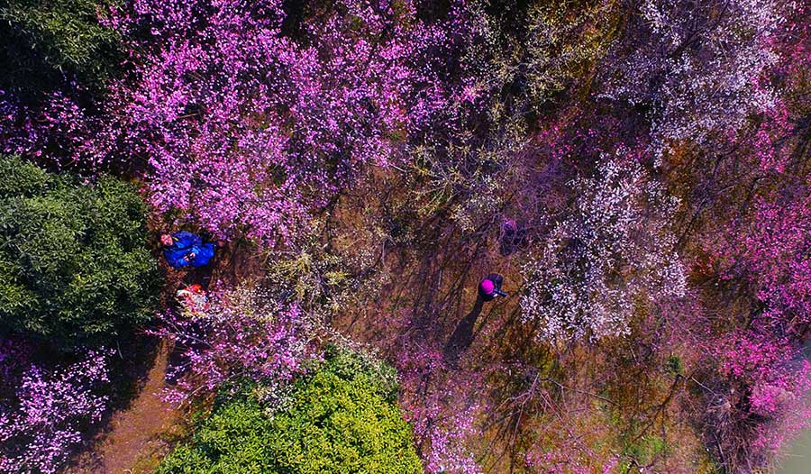 Aerial photos of Wanhua Park scenery in E China