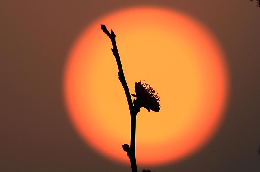 Fresh spring scenery around China