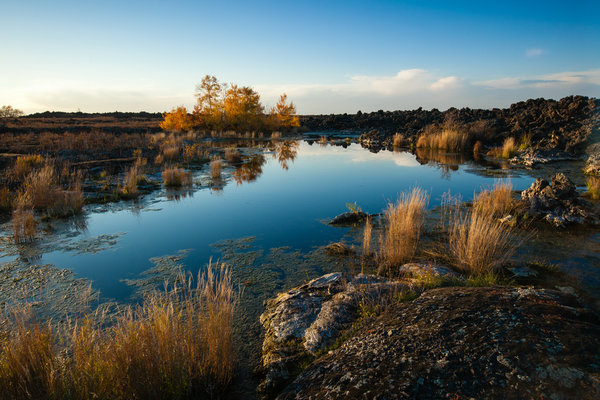 China's nature reserve wins top conservation award of UNESCO