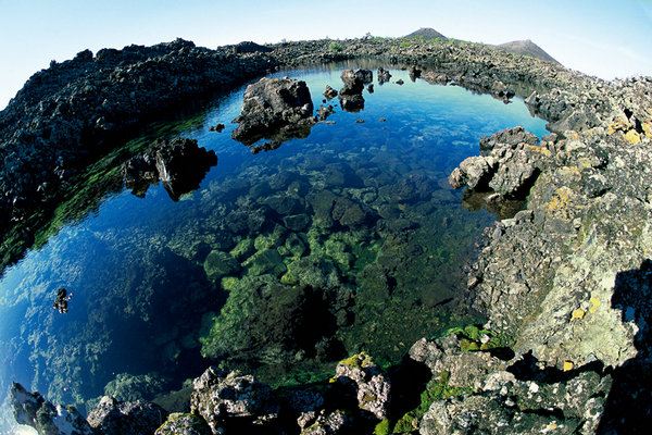 China's nature reserve wins top conservation award of UNESCO