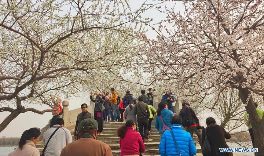 Flowers blossom in Summer Palace in Beijing