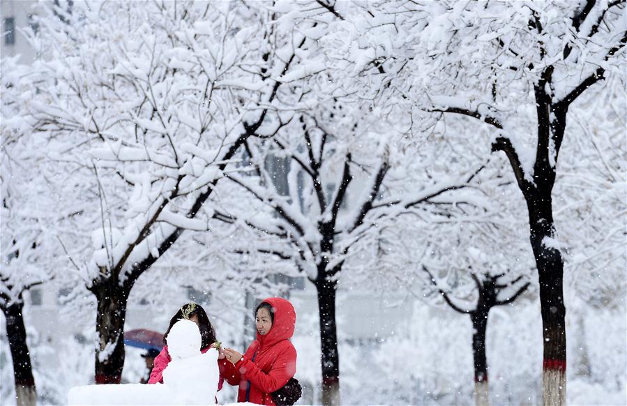 Snowfall hits most parts of Qinghai in NW China