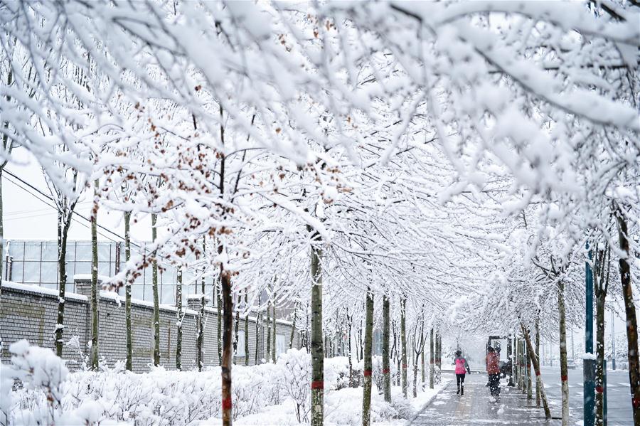 Snowfall hits most parts of Qinghai in NW China