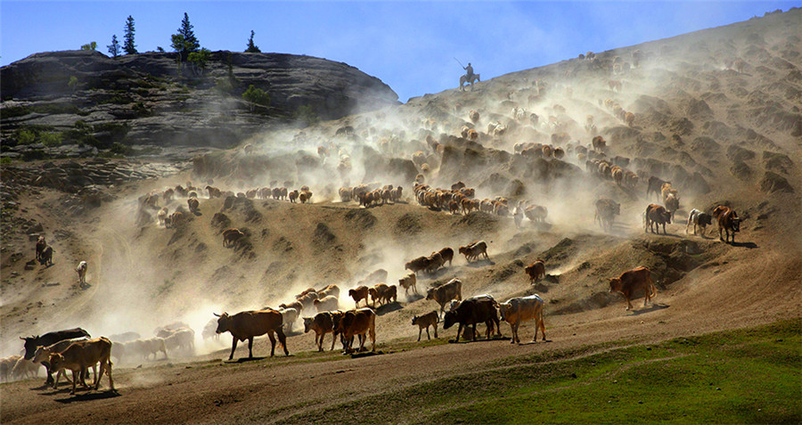 Amazing landscapes of China's Xinjiang captured on film