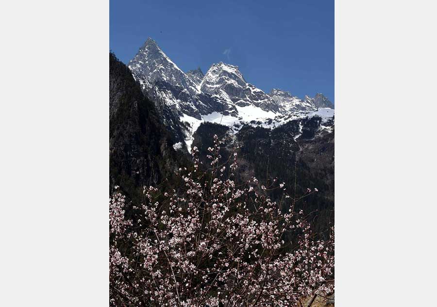 Magnificent Diqing snow-capped mountain in early spring