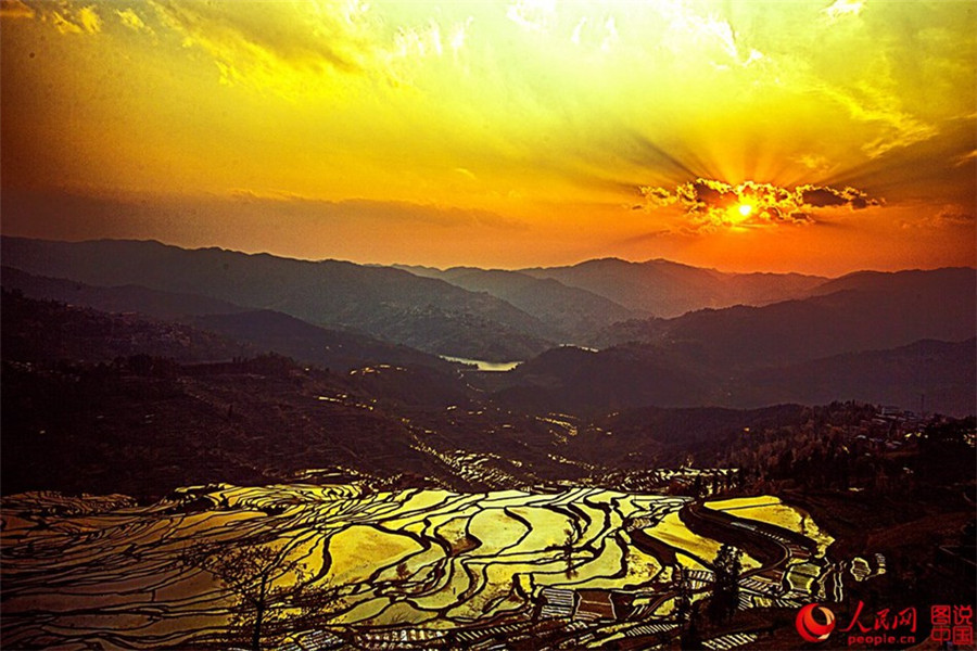 Magnificent view of Hani terraced fields in SW China