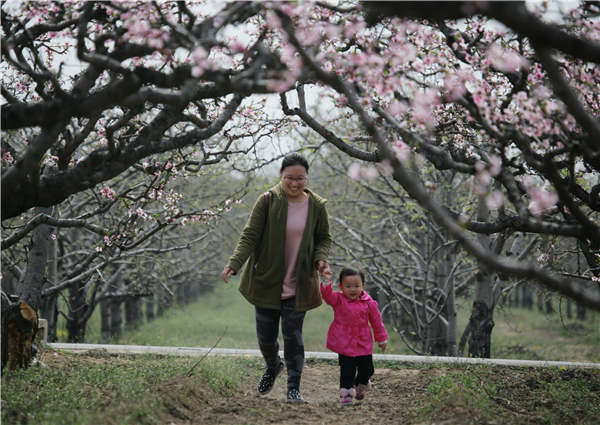 Shanxi tourism is springing into blossom