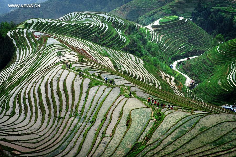 China perfects art of building terraced fields