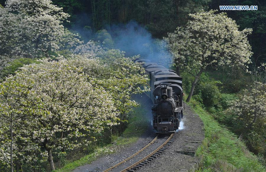 Steam train in Southwest China keeps operation, boosts tourism