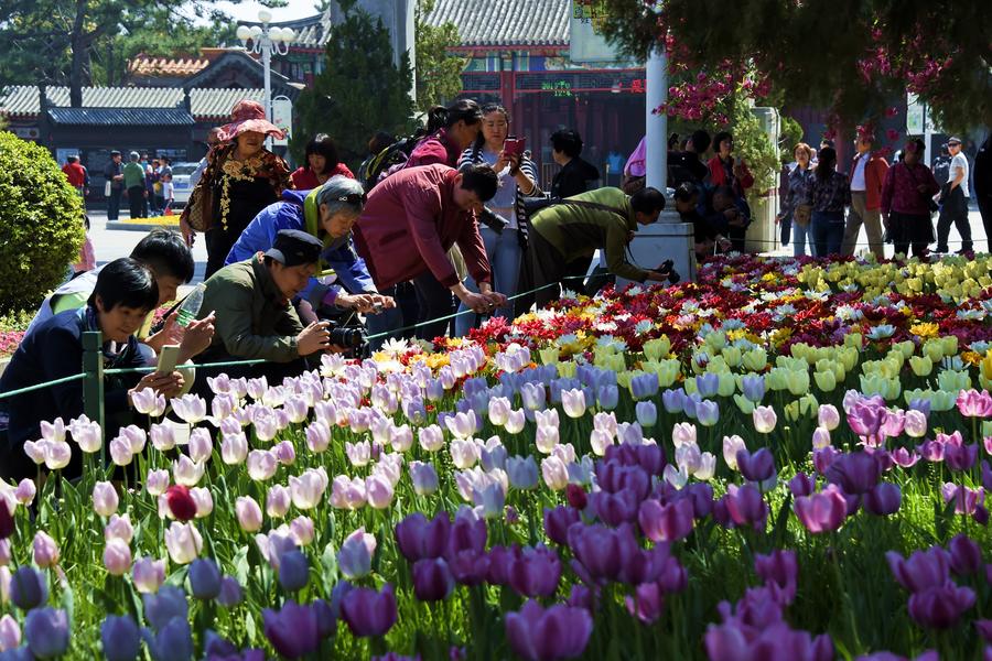 People enjoy sea of flowers in Beijing