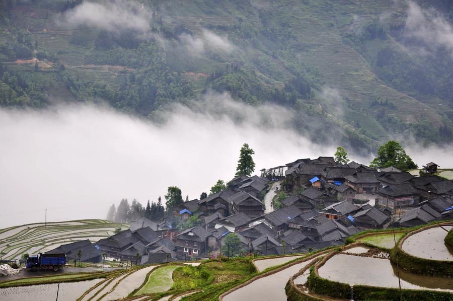 Terraces shrouded by morning fog in Southwest China