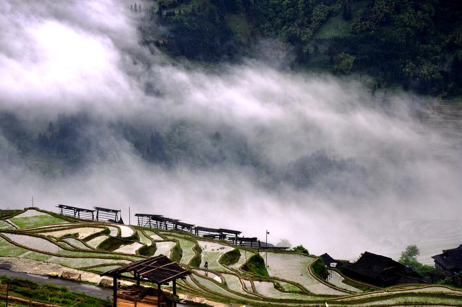 Terraces shrouded by morning fog in Southwest China