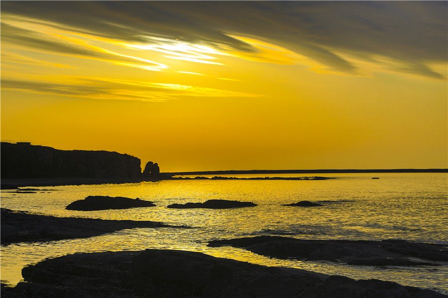 Sea turns fluorescent in Dalian, Northeast China