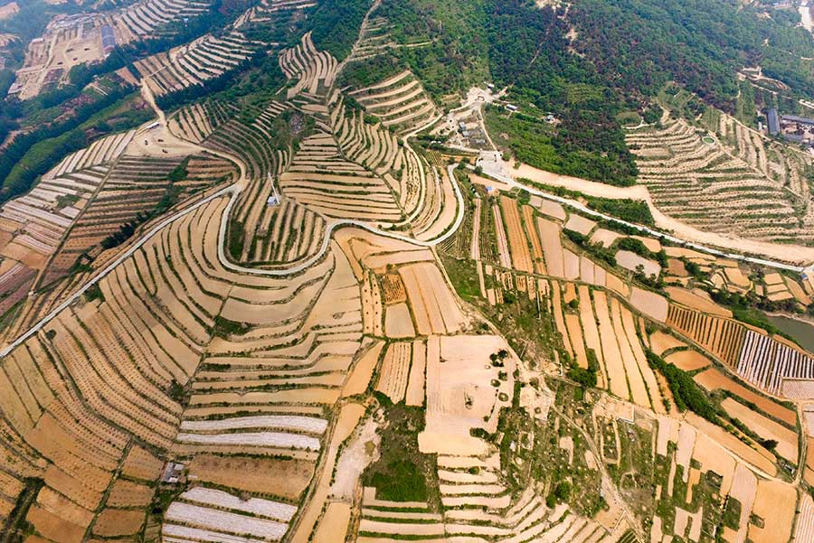 Aerial view of terraced fields in Lianyungang city, E China's Jiangsu