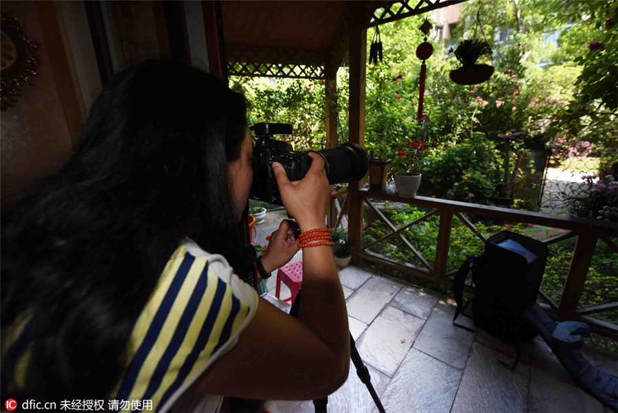 Shutterbug turns home into bird photo studio