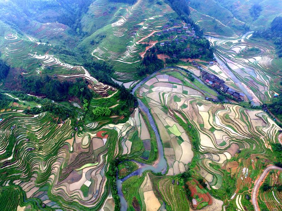 Scenery of terraces in Guizhou