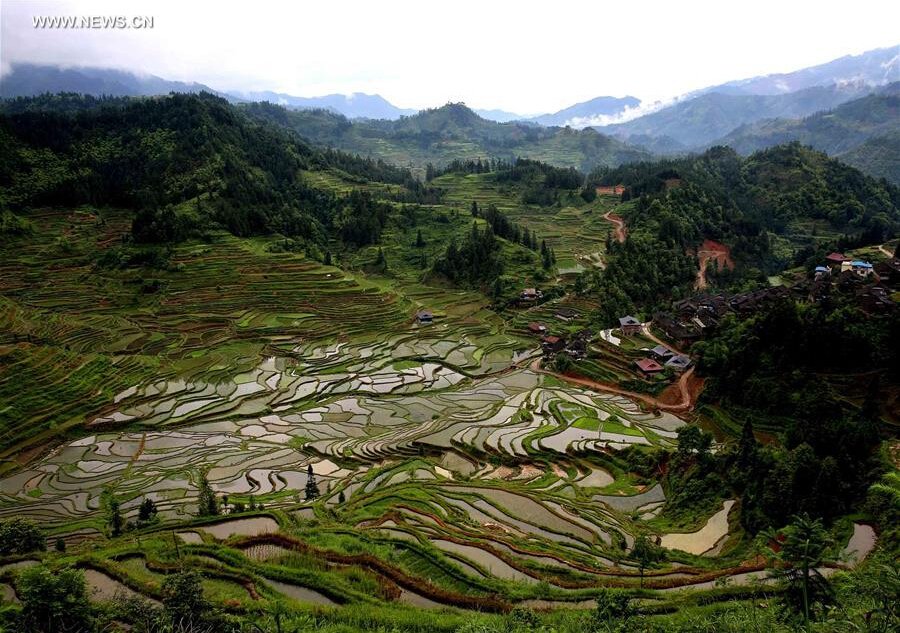 Scenery of terrace fields in China's Guangxi