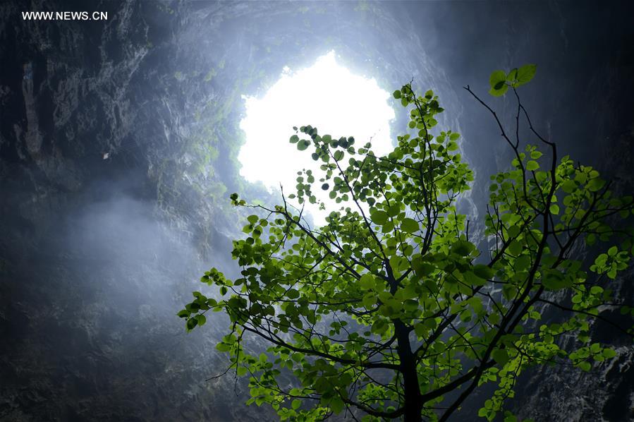 Unique ecosystem preserved in C China's karst cave