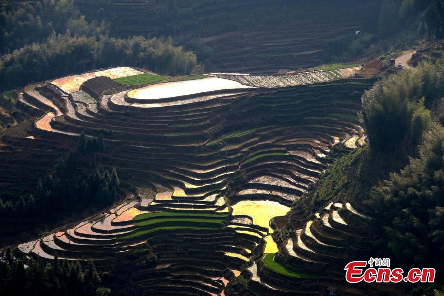Terraced fields form beautiful landscape in E China town