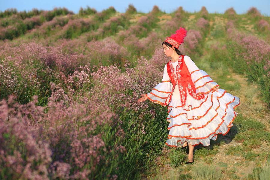 Flower industry turns Gobi wilderness into attractive landscape