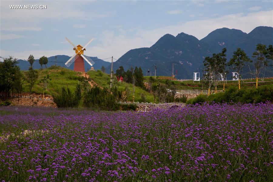 Flower festival held at Mountain Rao in C China's county