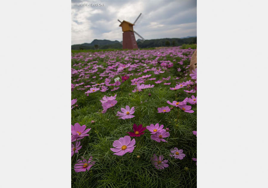 Flower festival held at Mountain Rao in C China's county