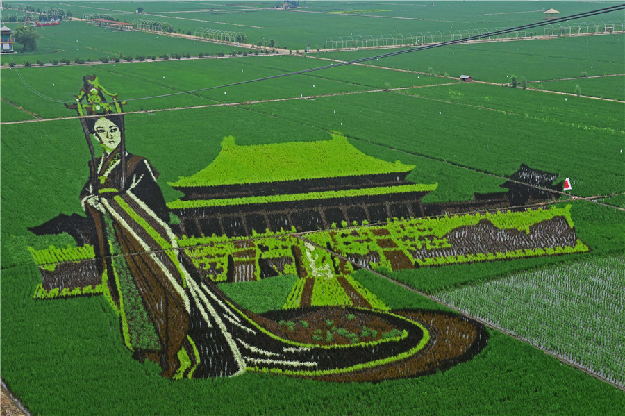 A summer treat: More amazing rice paddy art