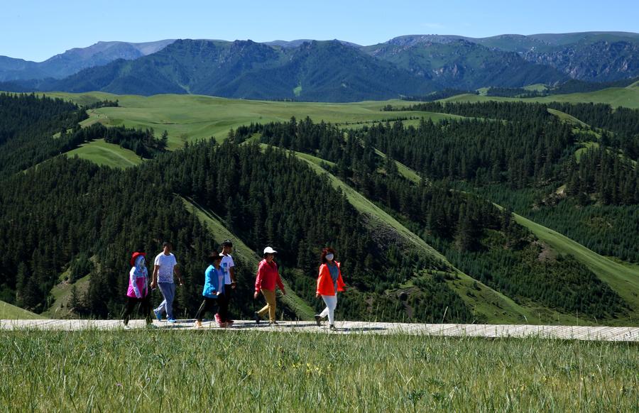 Kangle Grassland enters best season for tourism in summer