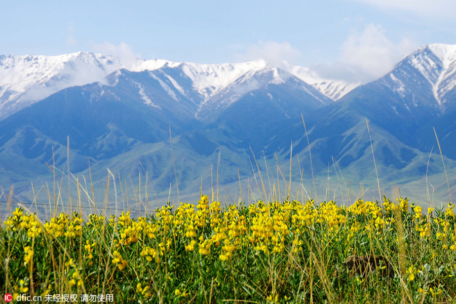 10 snow mountains you should visit in summer