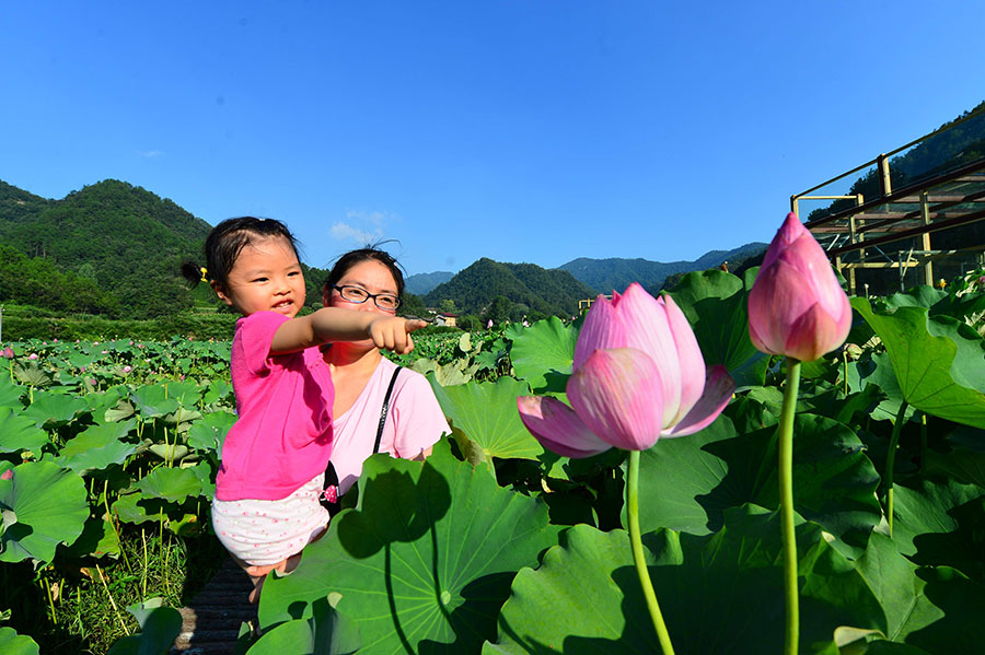 Ecological tourism brings prosperity to Yuanan, Hubei province