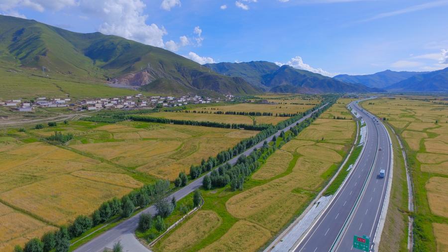 Aerial photos show golden field in valley of Lhasa River