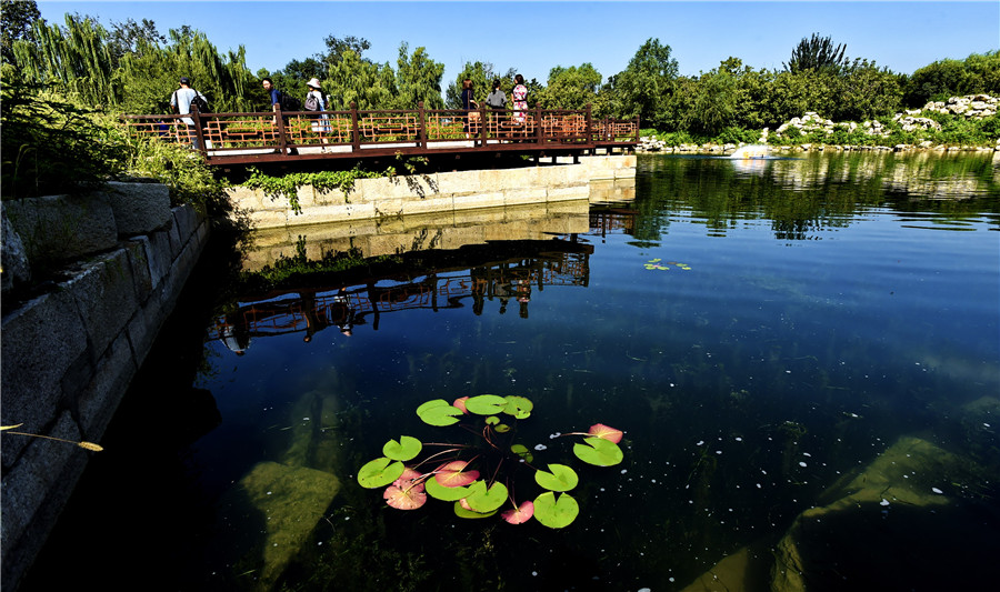 'Boundless Impartiality' scenic area of Yuanmingyuan reopens to public
