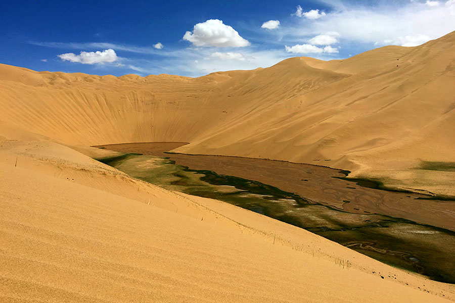 Altyn Mountains nature reserve: Paradise for plants and wild animals