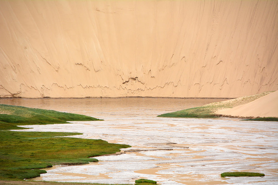 Altyn Mountains nature reserve: Paradise for plants and wild animals