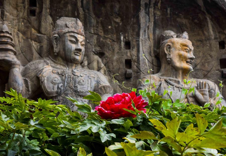 Latest snapshots of Longmen grottoes in Henan