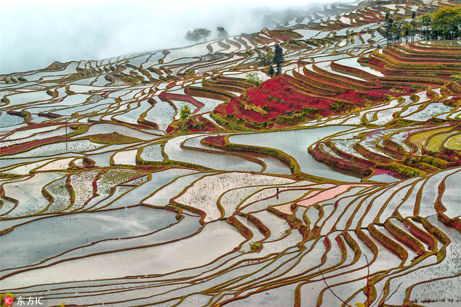 Colorful Yunnan through the lens of Italian photographer