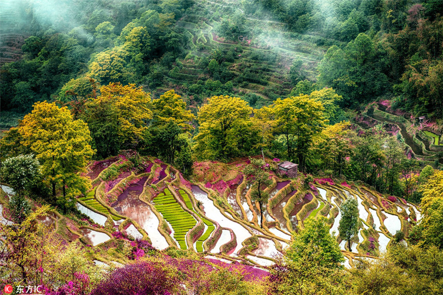 Colorful Yunnan through the lens of Italian photographer