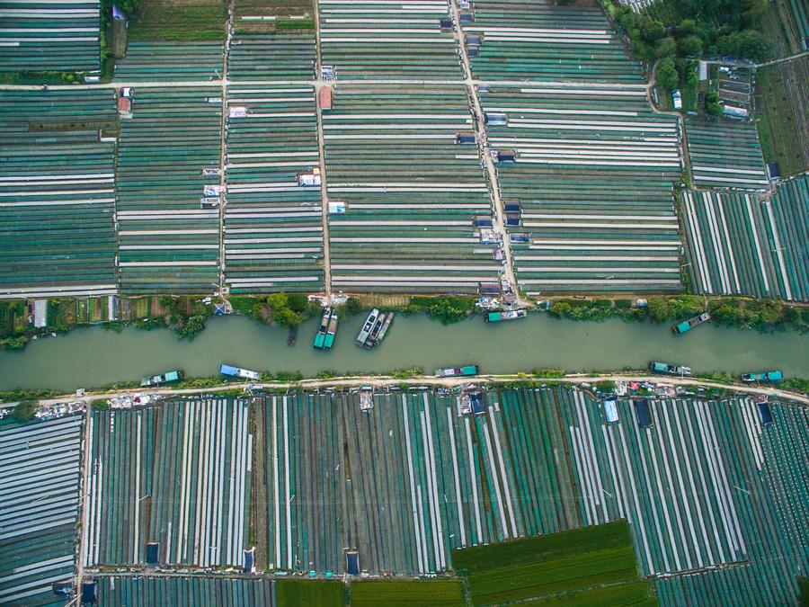 Villagers busy in drying fish in E China