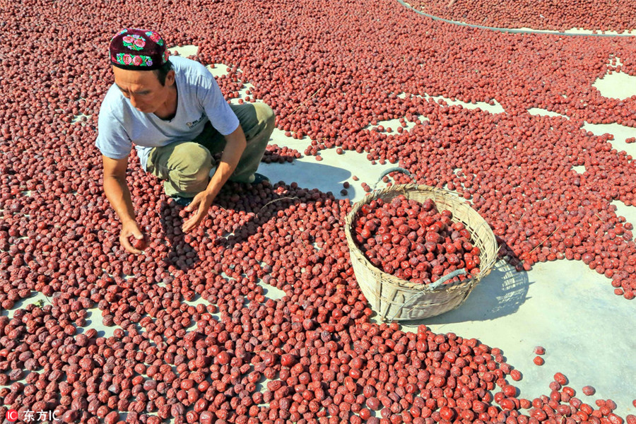 Stunning colors celebrate China's autumn harvest