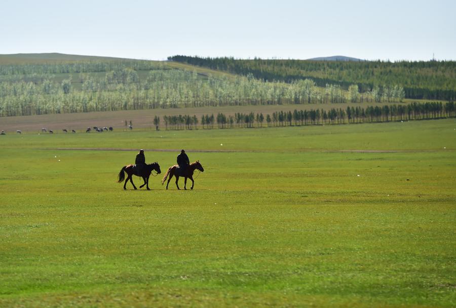 Grassland of Hulun Buir in Inner Mongolia