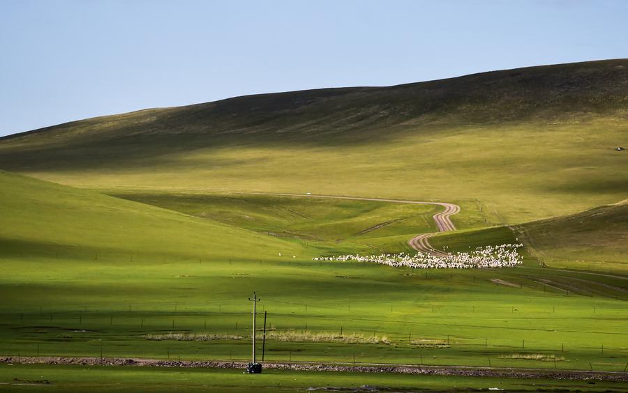 Grassland of Hulun Buir in Inner Mongolia