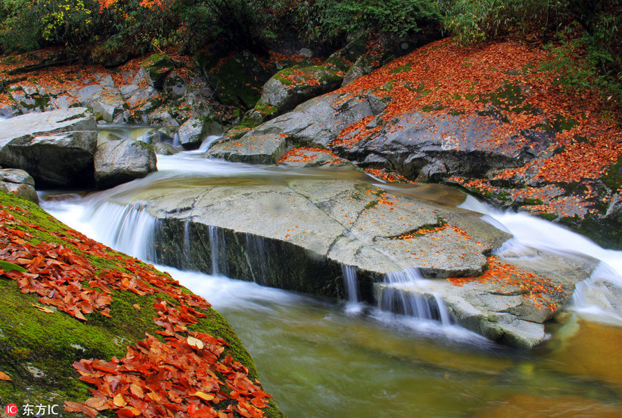 Best places to enjoy autumn's golden landscapes in China